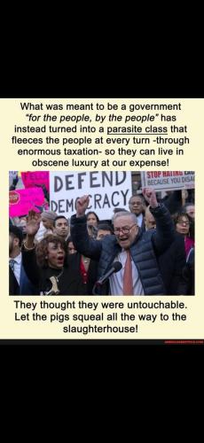 Screenshot_20250208_222344_Gallery