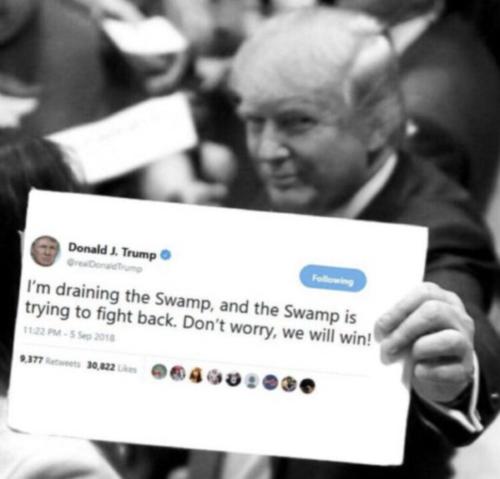 draining the swamp