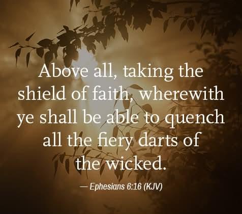 e61bbd6a-fc5f-41cb-bd2b-fea035e8bdfa