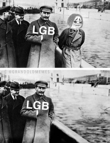 photo_2025-02-01_22-13-42