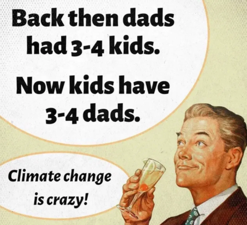 image_2025-02-26_065152906