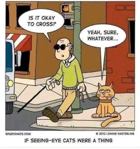 FB_IMG_1738861427283