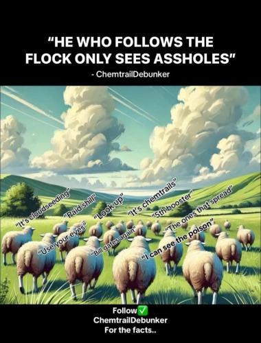 debb7bdb-ac8c-4082-8ff8-0fa0651ac4c7