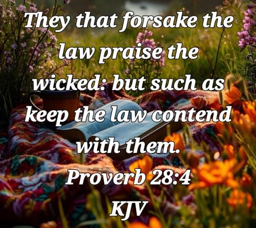 d1539cf9-26e0-4662-b669-cde9a901aa0a