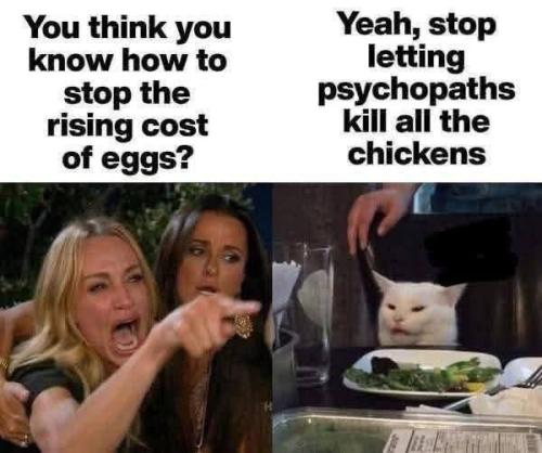 photo_2025-02-16_20-28-47