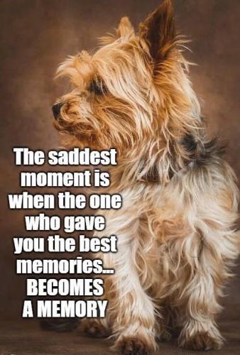 FB_IMG_1739911623839