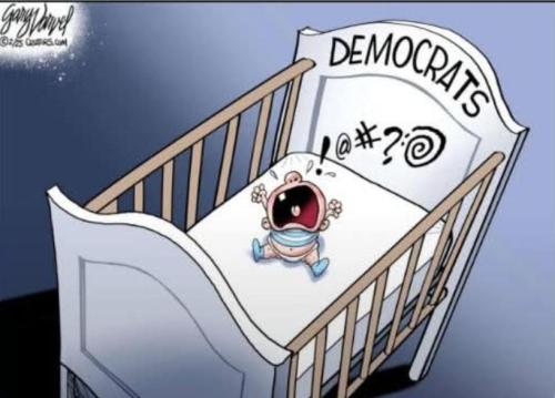 c81809fc-ab02-49e7-8489-bb975dc2fe0d