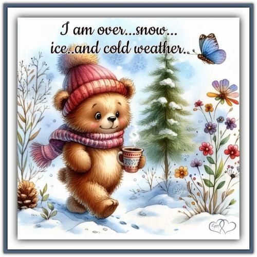 FB_IMG_1739394223093