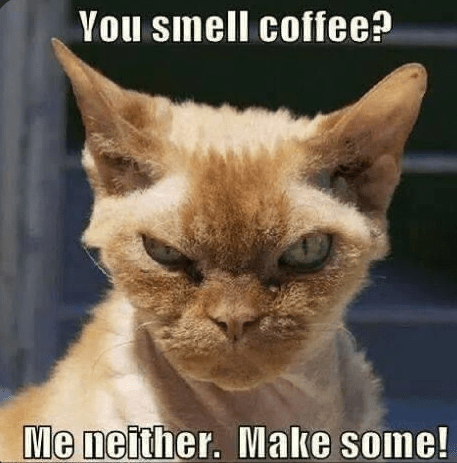 smell-coffee-neither-make-some