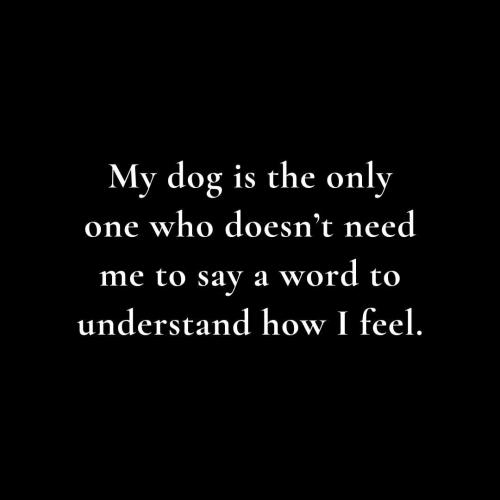 FB_IMG_1740519531400