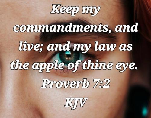 4da63052-0d59-4df6-8444-122e6d87f032