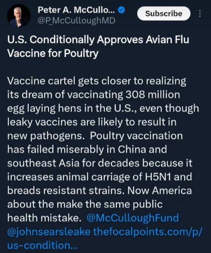 photo_2025-02-26_21-00-04