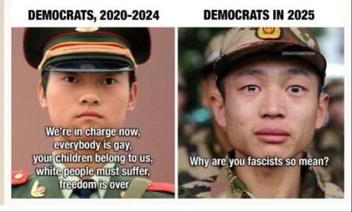 image_F5E39E15-45F2-40E3-A8D6-618653B4612B