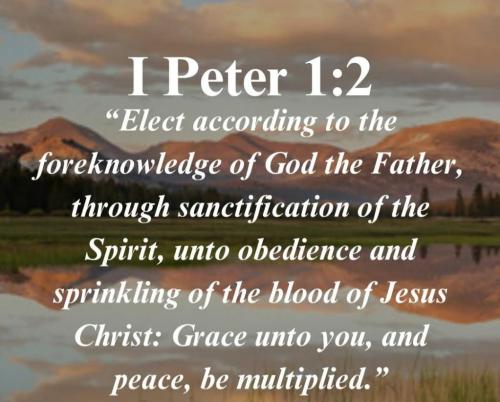 0ffd61d5-4672-4825-9f67-a2bb19b2ae6c