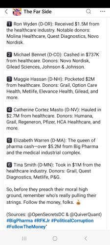 Screenshot_20250205_145826_Wimkin Free Speech Social Media