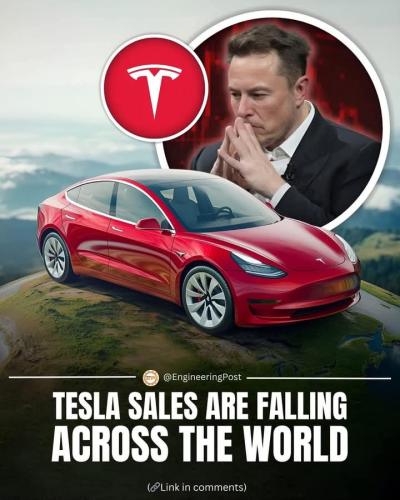 FB_IMG_1739731789990