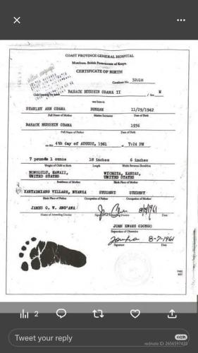 Camera_XHS_17402542316331040g2sg31e6hh7st10805o2qitjg9dfo6kteja0