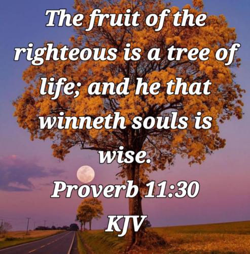 bee1b02a-ae10-4183-ba0c-57fa91d9d751