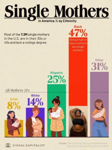 IMG_20250222_232502_242