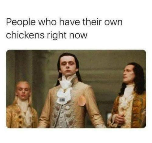 photo_2025-02-01_22-15-38