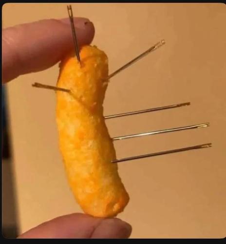 FB_IMG_1740238342384