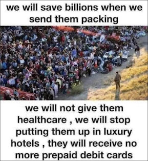 illegal immigration509