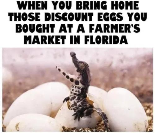 Screenshot_20250219_063431_Gallery