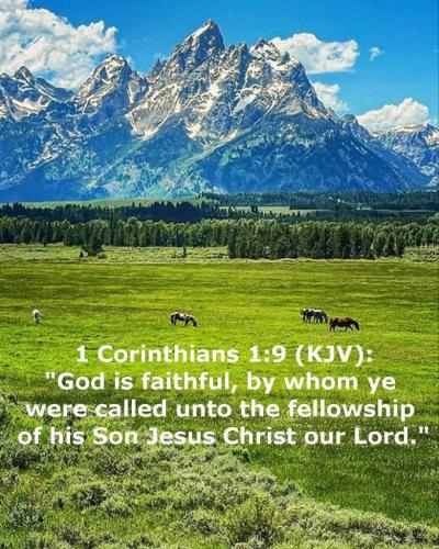 76ff65aa-04ba-408e-b757-25d8af9fb155