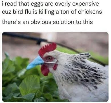 FB_IMG_1739845840475