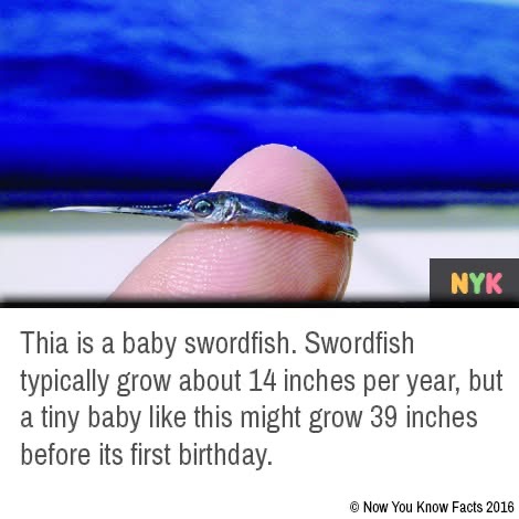 F0CFFC25-7486-4E1A-B05C-55DFAA91C0AA