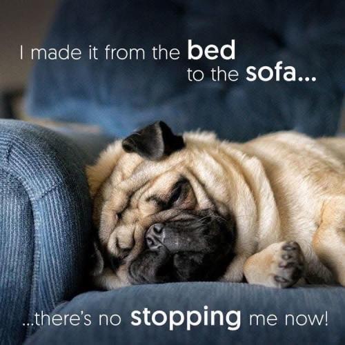 FB_IMG_1738319929934