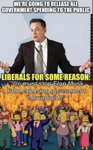 elon g