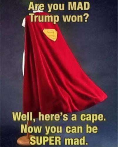 FB_IMG_1740235766358