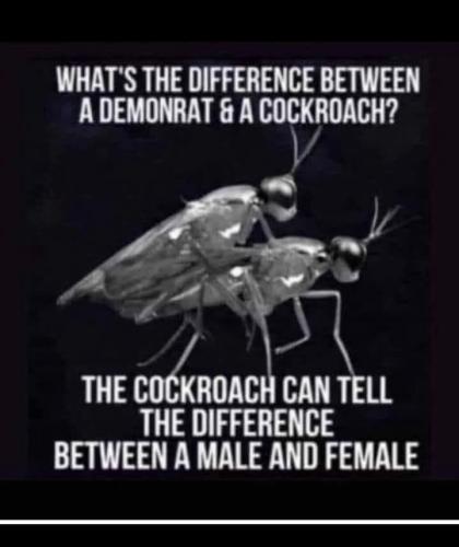 FB_IMG_1740616112221