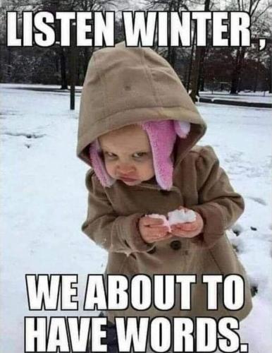 snow-memes-20-720x932