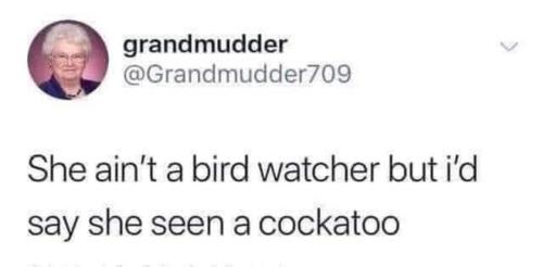 image_02E24C93-2B3D-4956-8102-318681F73612