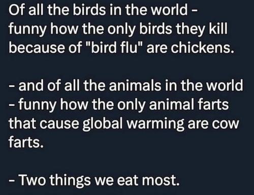 two things we eat the most