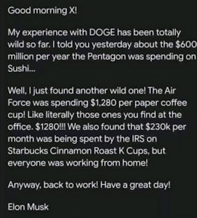 government efficiency11