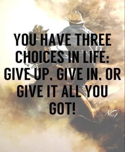 IMG_20250208_171831_028