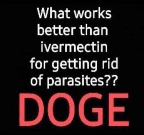 image_0C0ED2DC-C03B-4259-B73F-6D128895841A