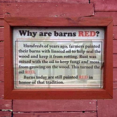 F2EC70FB-7D76-4601-8E3C-B03A700E922F