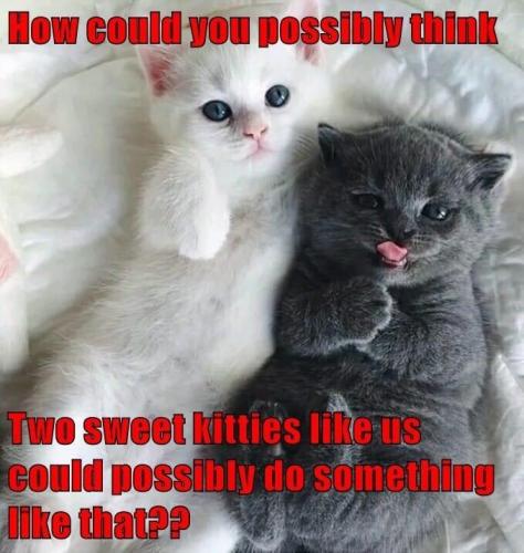 8837bd9dc1a07abb2066df49099ed556