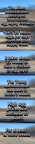 Biden Egg Prices