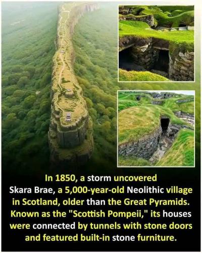 19b2899f-8977-40f8-9329-79c2986561ca