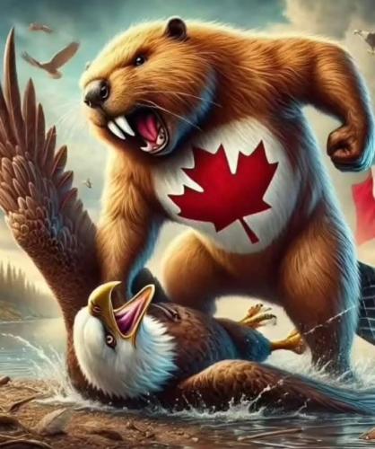 FB_IMG_1740241408305