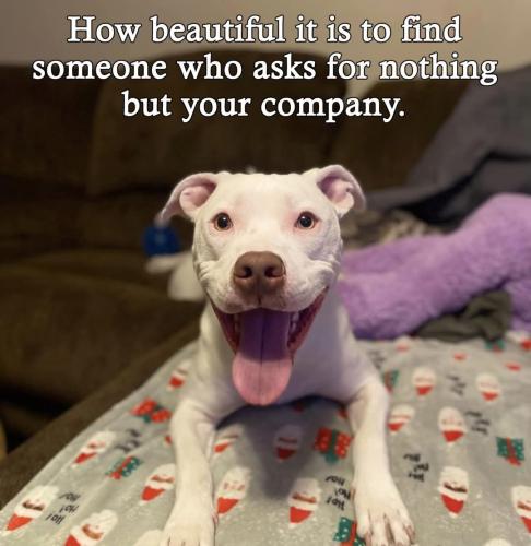 FB_IMG_1738320367167