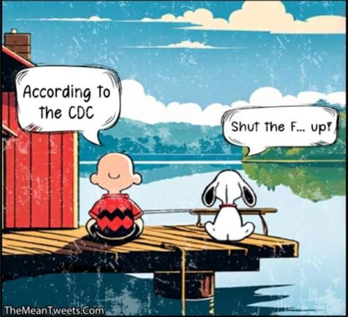 475889482_599114793050871_574709116674878974_n