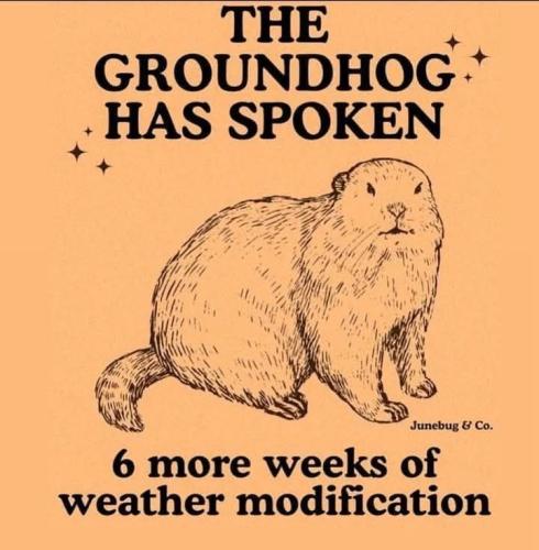 Screenshot_2025-02-09-09-56-35-67_a23b203fd3aafc6dcb84e438dda678b6