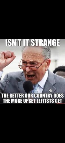 Screenshot_20250206_134229_Gallery