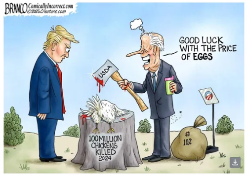 image_2025-02-17_173952796